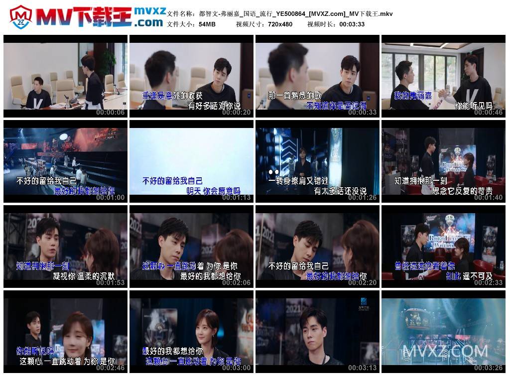 都智文-弗丽嘉_国语_流行_YE500864